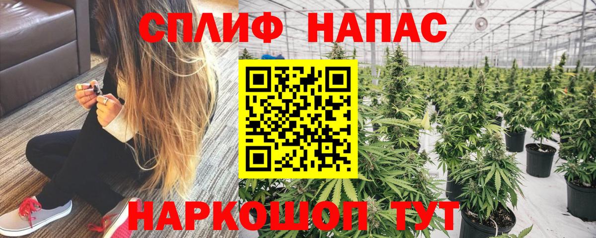 Канабис конопля  Бошки марихуана планчик  МАРИХУАНА тримм  Бор  Бошки марихуана OG Kush  Вход с VPN 